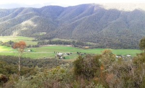 Harry Power's view of the King Valley