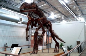 The land based dinosaur at Hughenden