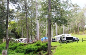 Campers at Peach Trees Camping Area Jimna