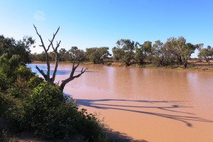 The never dry Thylungra waterhole