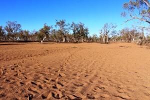 The dry sandy bed of the Plenty River