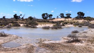 A permanent water soak near sand dunes where Cobb & Co stages used to cross the lake bed
