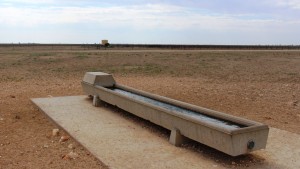 Water trough with a storage tank in the background.