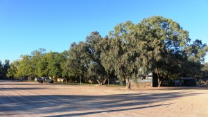 Accommodation is available on the shearers quarters, located among shady trees