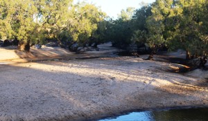 The Archer River winds through sand banks
