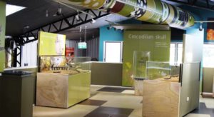 Inside the crocodile museum at Isisford